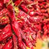 Pimientos rojos colgados en un entorno de elaboración de pimentón