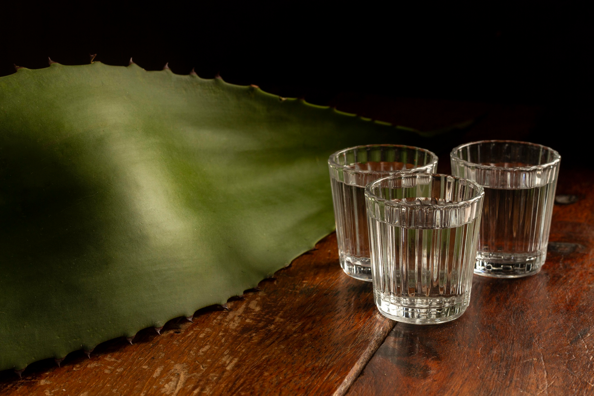 Cómo reconocer un buen vodka | magnific
