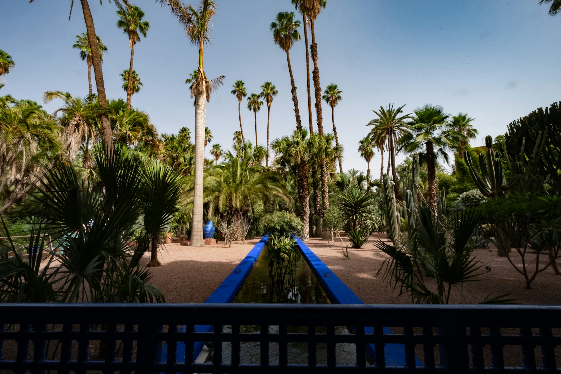 Jardín con palmeras y agua azul en Marrakech