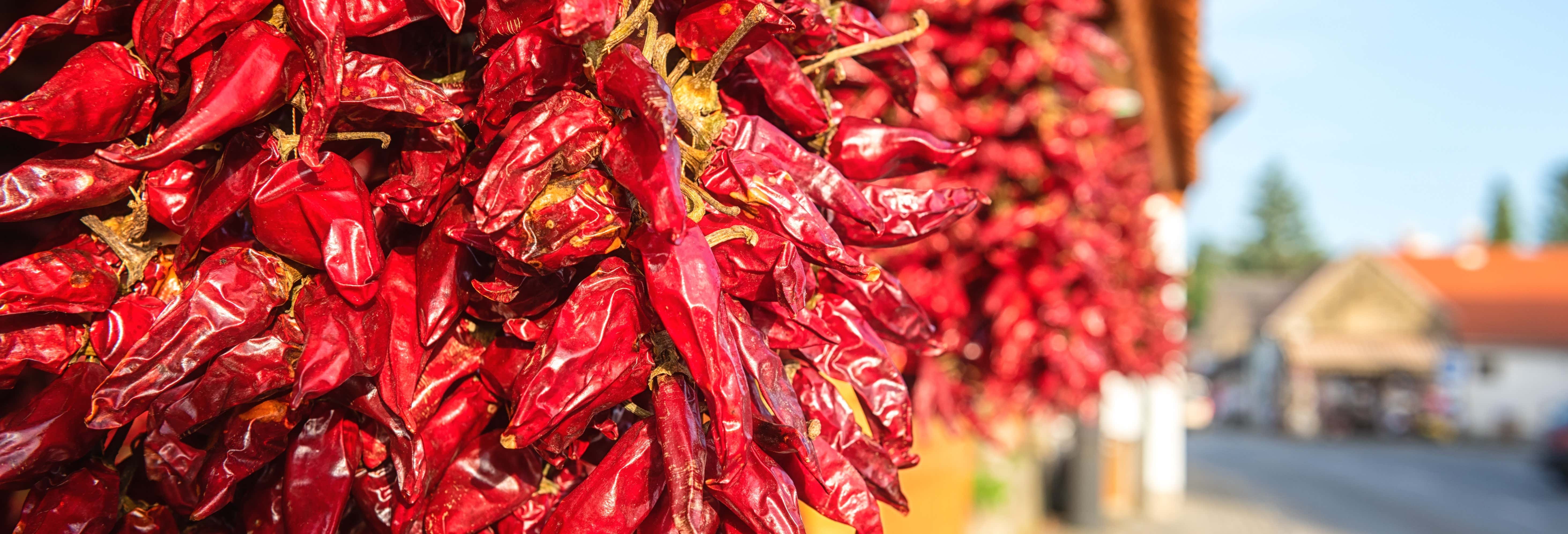 Pimientos rojos colgados en un entorno de elaboración de pimentón