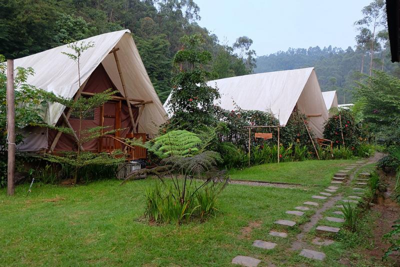 hacer glamping cerca de Bogotá