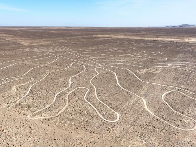 Viajeros a Perú: descubren nuevas líneas en Nazca