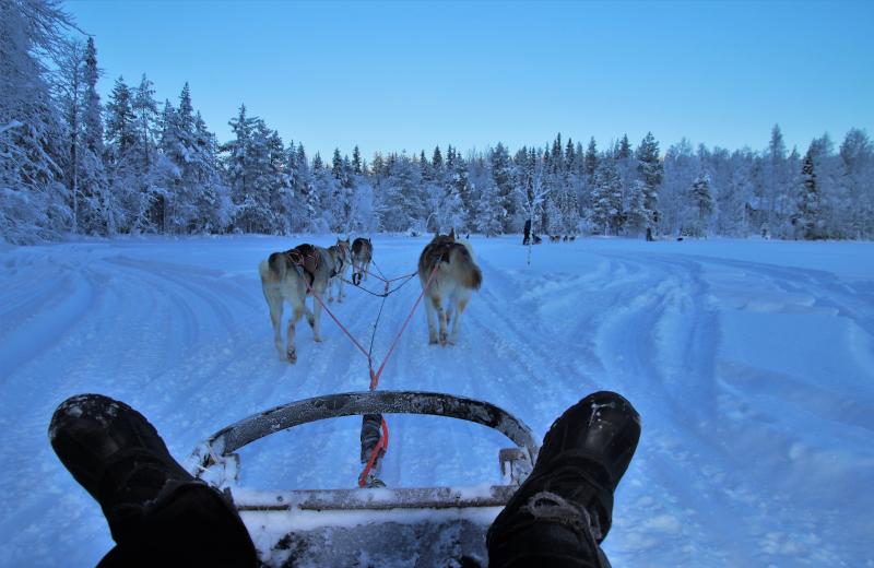 Transporte en Laponia, Finlandia - Viajándonos El Mundo