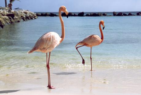 Viajar en luna de miel