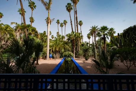 Jardín con palmeras y agua azul en Marrakech