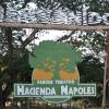 Hacienda Nápoles: dónde queda, cómo llegar y qué hacer